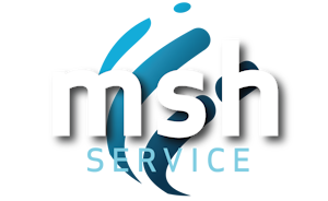 MSH Service